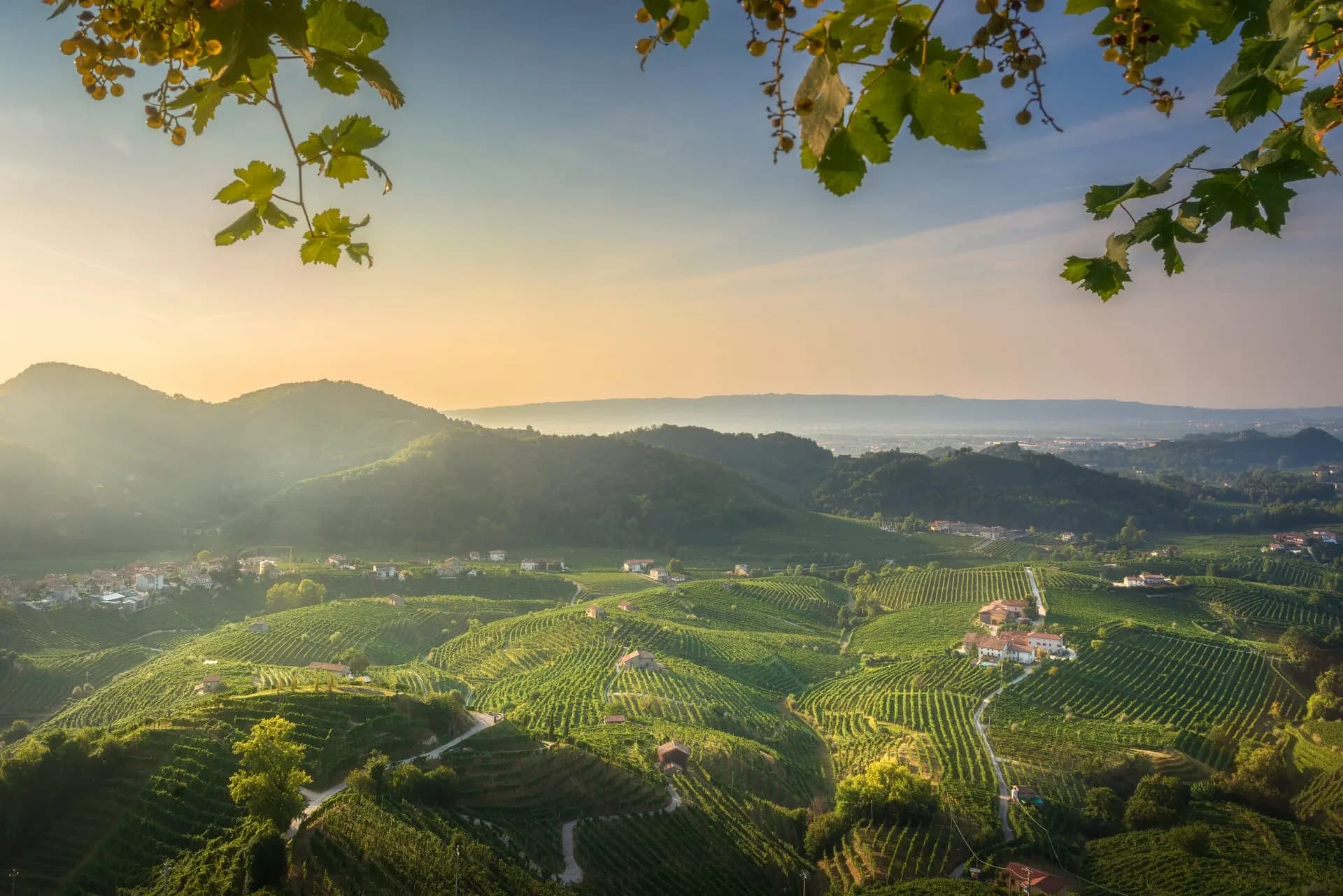 Paesaggio piemontese al tramonto