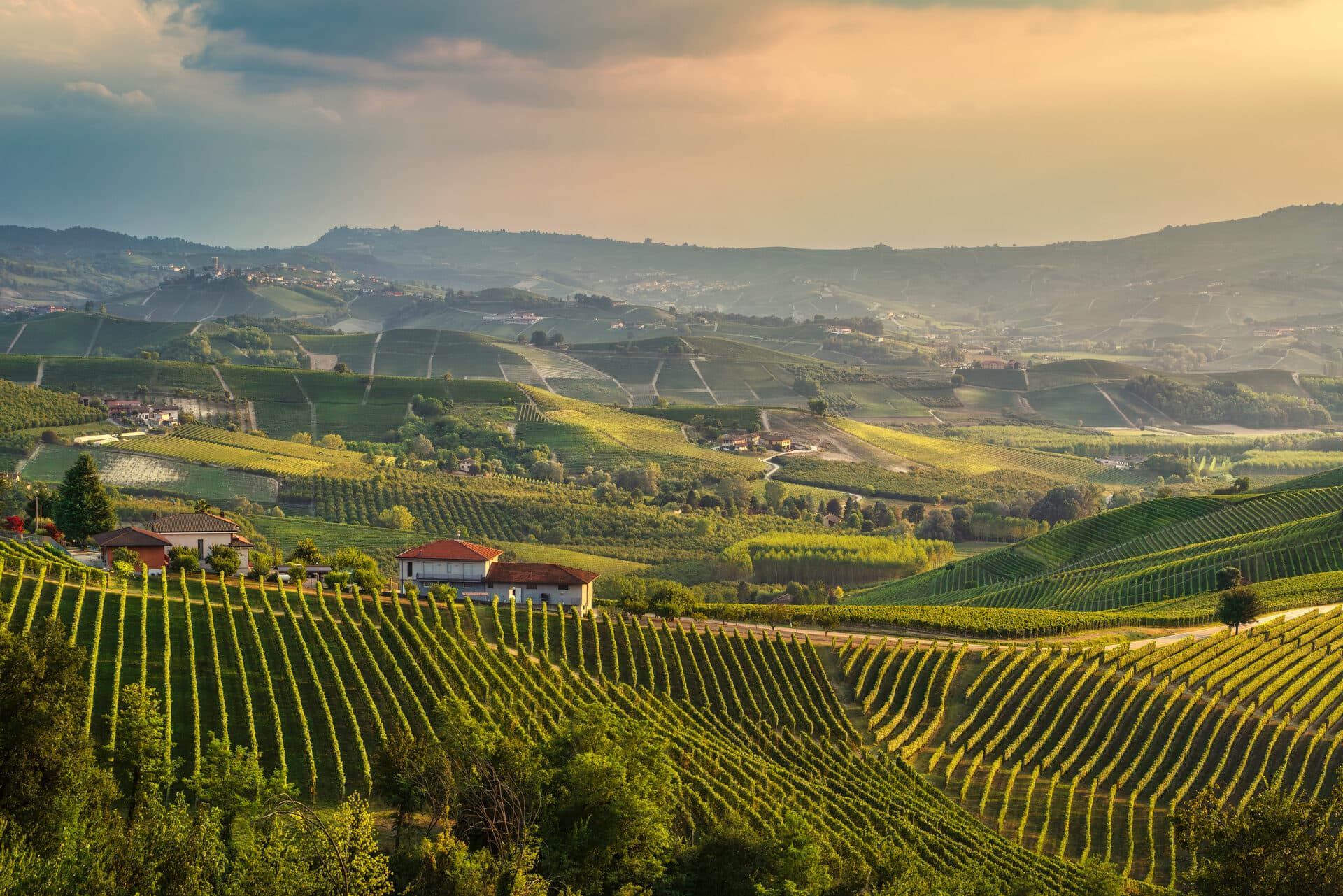 Colline del Monferrato