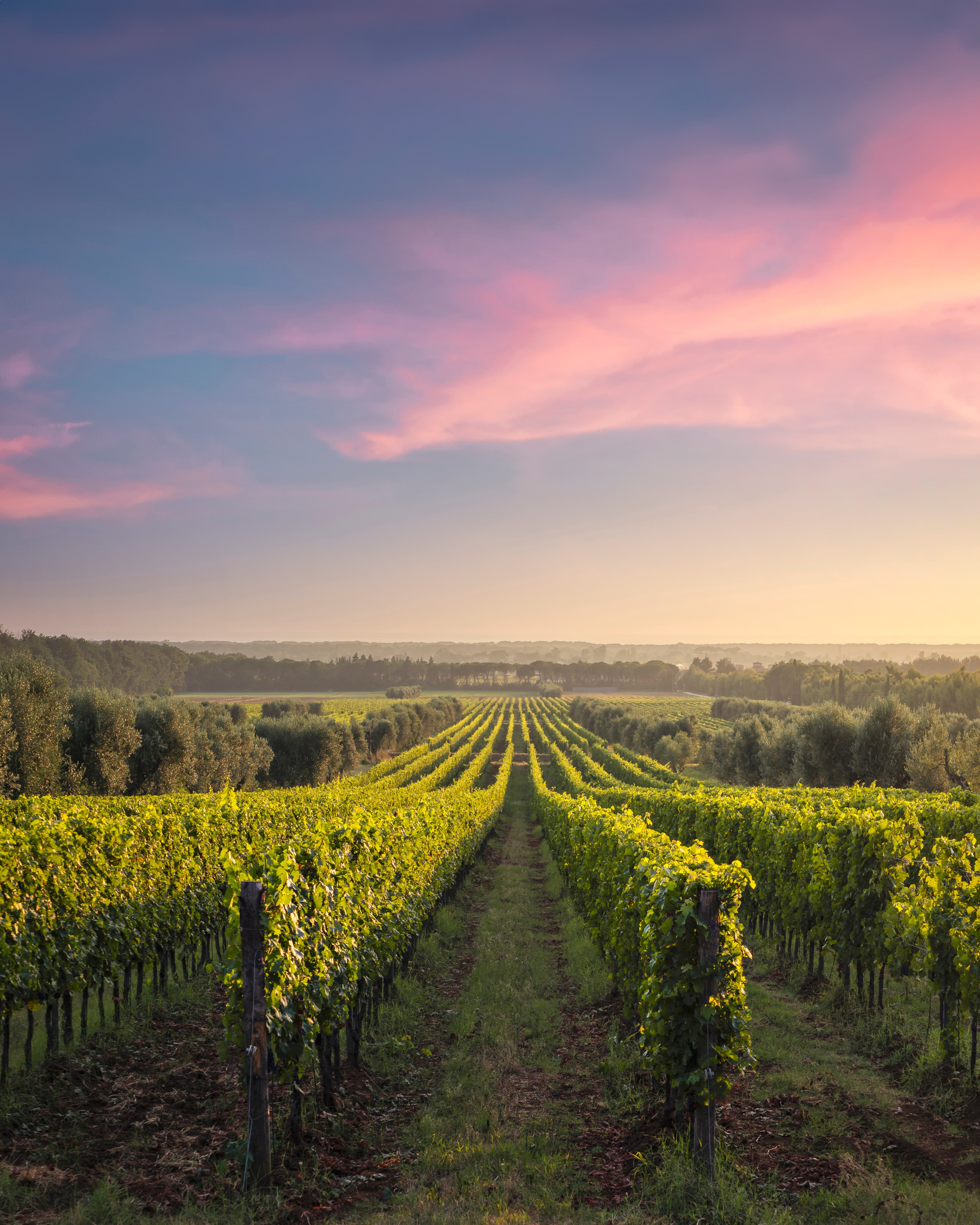 Piazza di un borgo piemontese